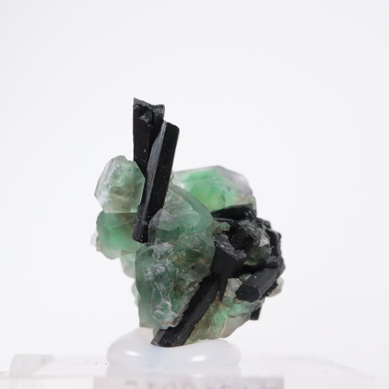 �����󥴹ۻ� �ե����饤��