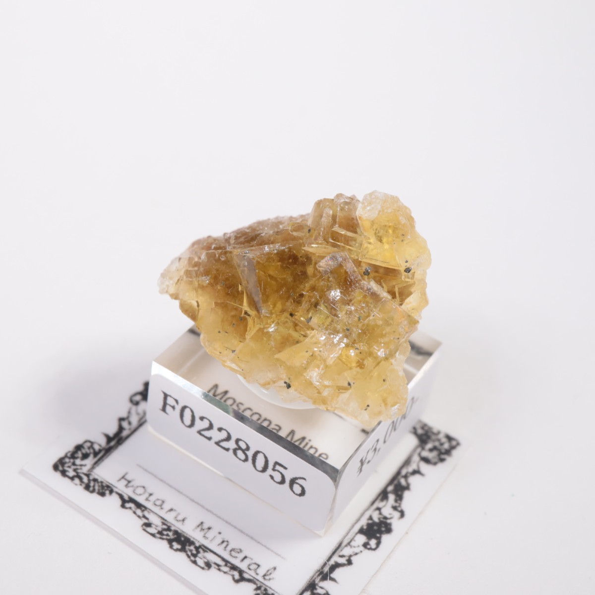 �⥹���ʹۻ� �ե����饤��