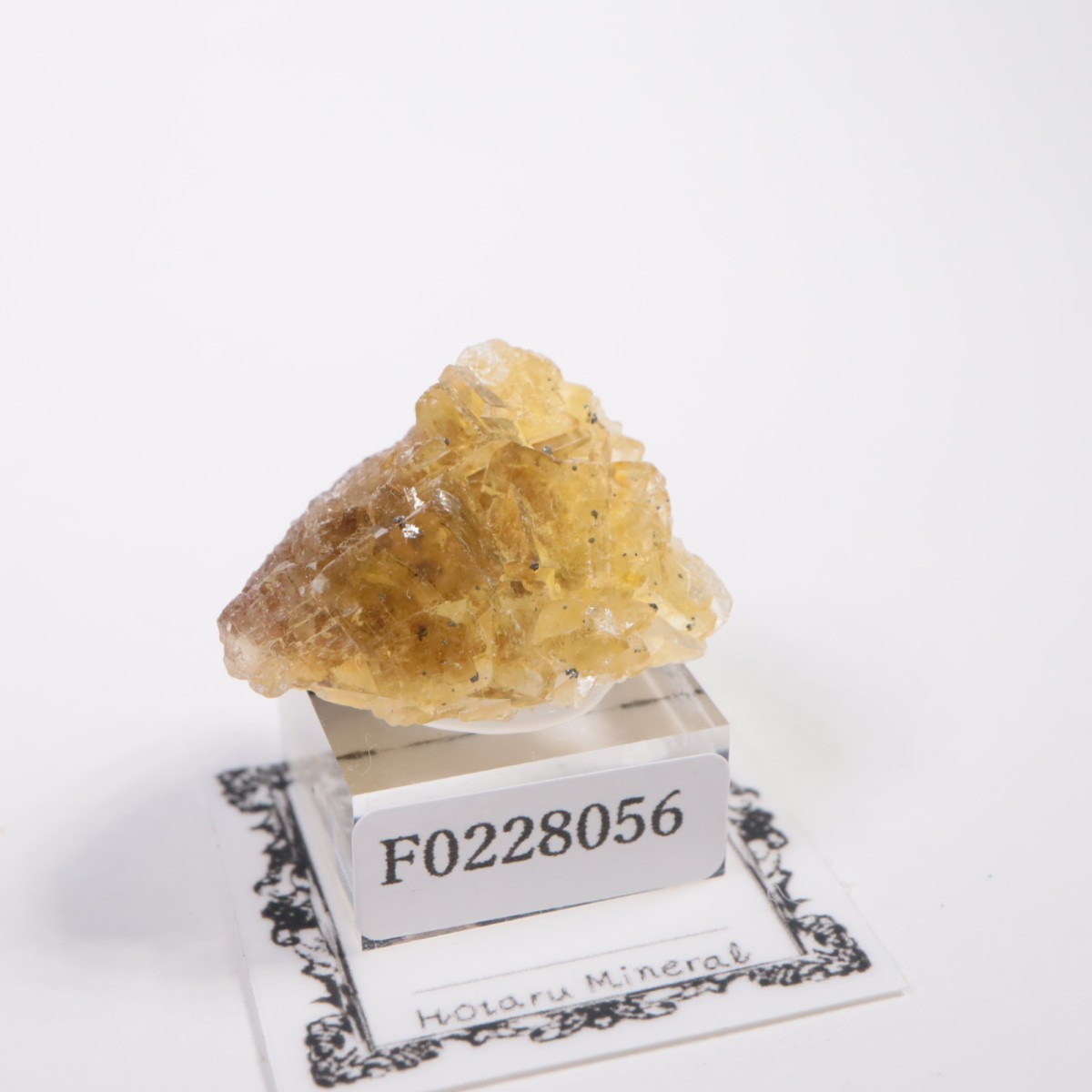 �⥹���ʹۻ� �ե����饤��