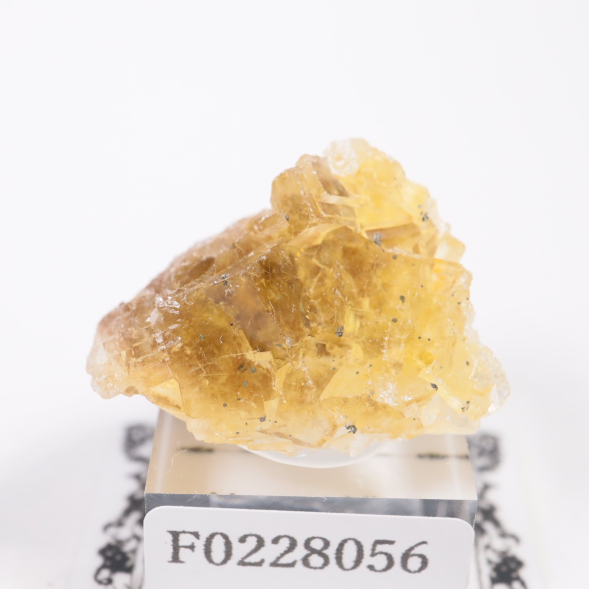 �⥹���ʹۻ� �ե����饤��