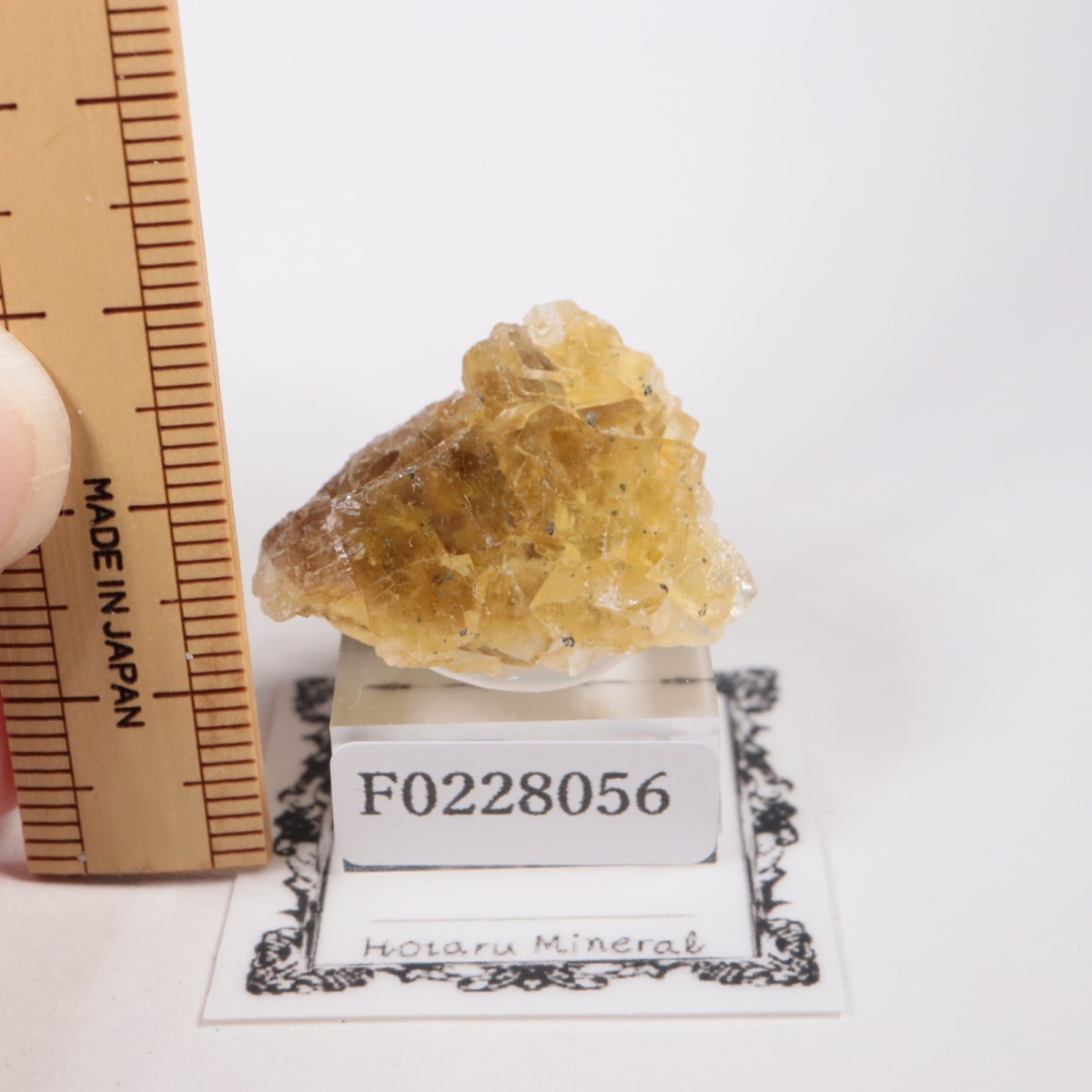 �⥹���ʹۻ� �ե����饤��