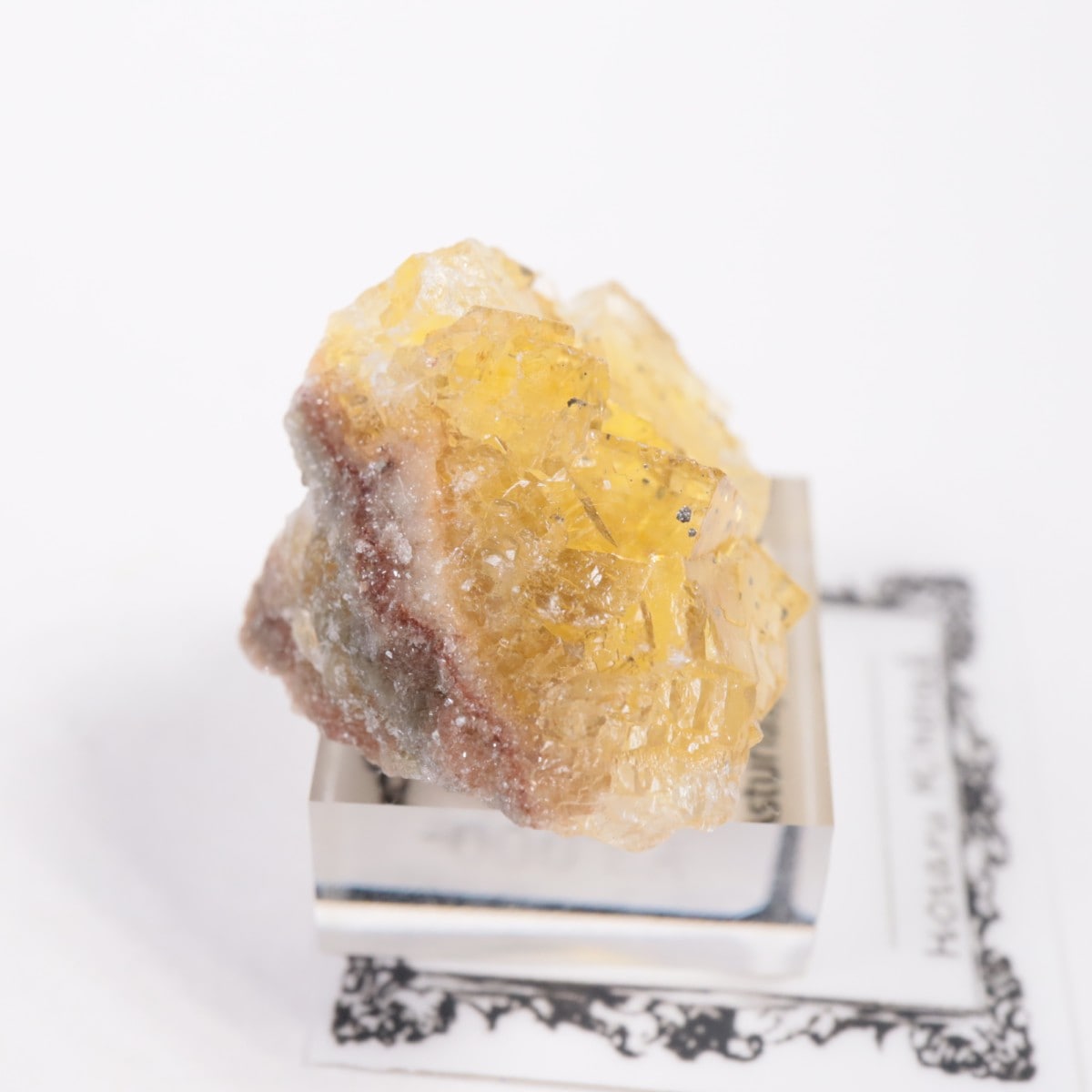 �⥹���ʹۻ� �ե����饤��