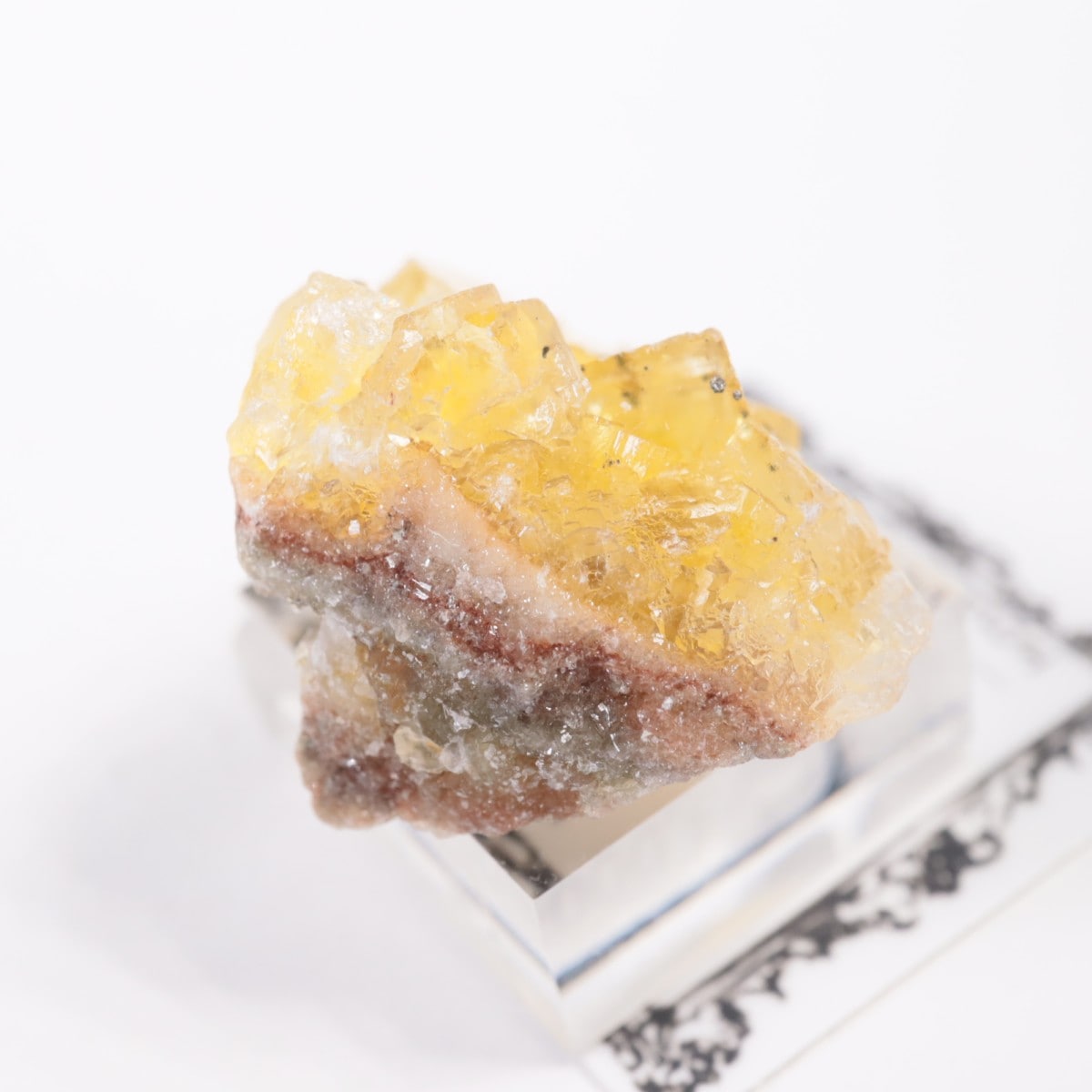 �⥹���ʹۻ� �ե����饤��