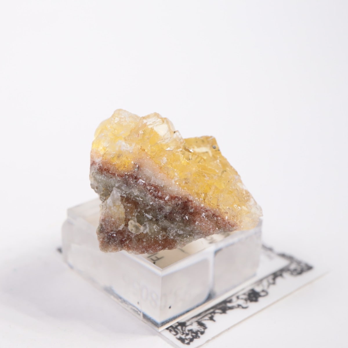 �⥹���ʹۻ� �ե����饤��