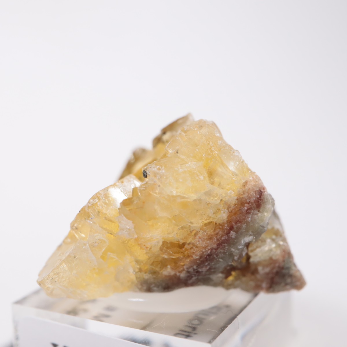 �⥹���ʹۻ� �ե����饤��