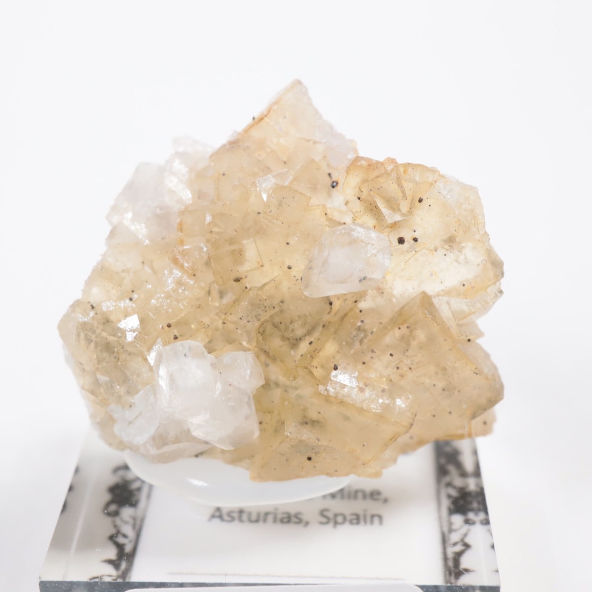 �⥹���ʹۻ��� �ե����饤��