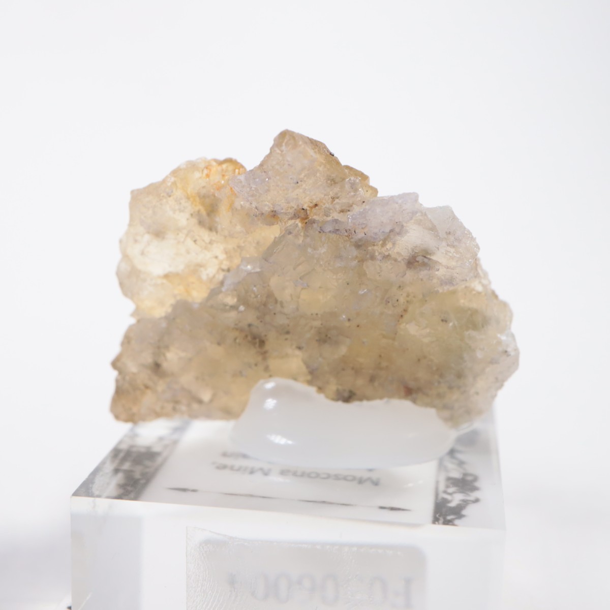 �⥹���ʹۻ��� �ե����饤��