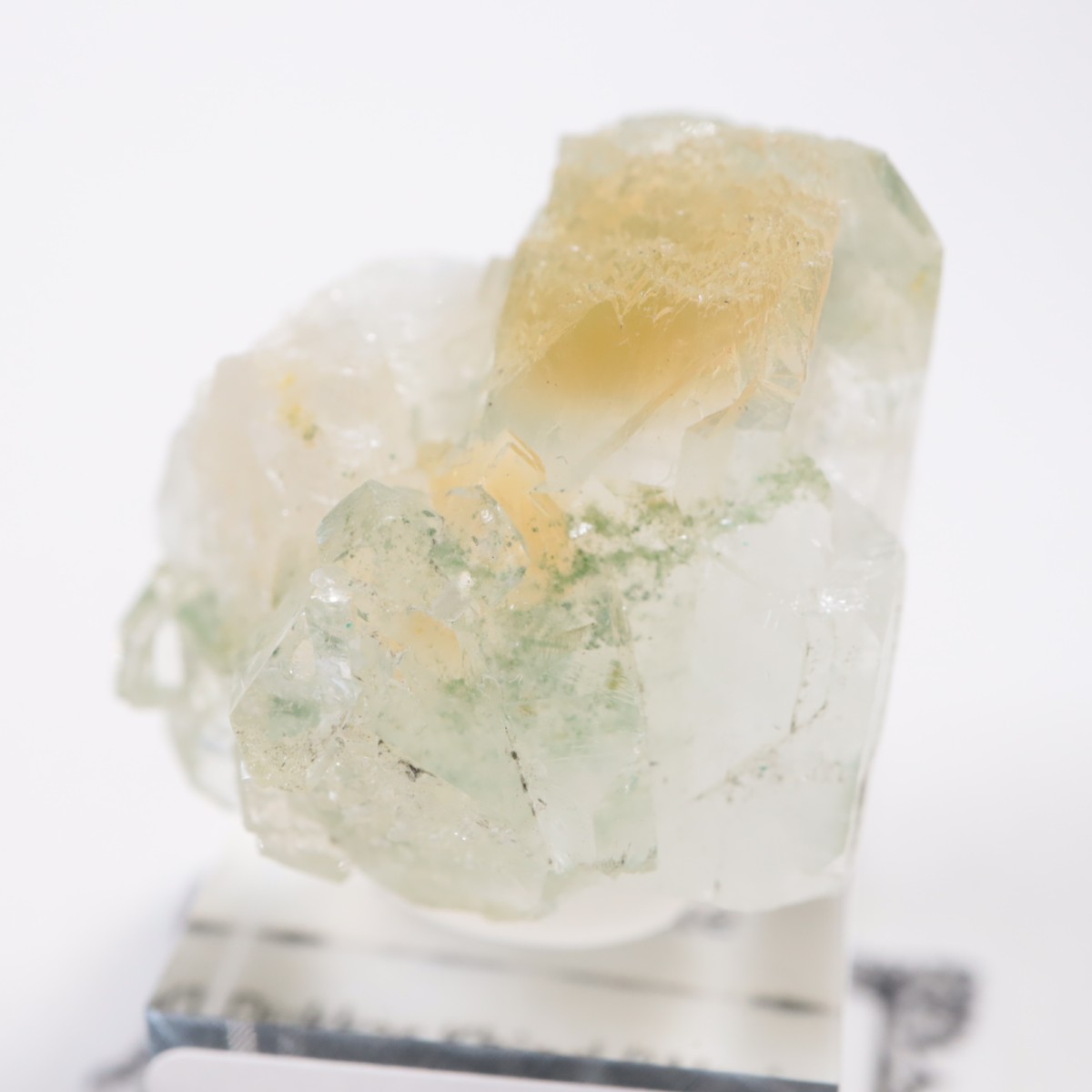 ����ɻ� ���ݥե��饤��