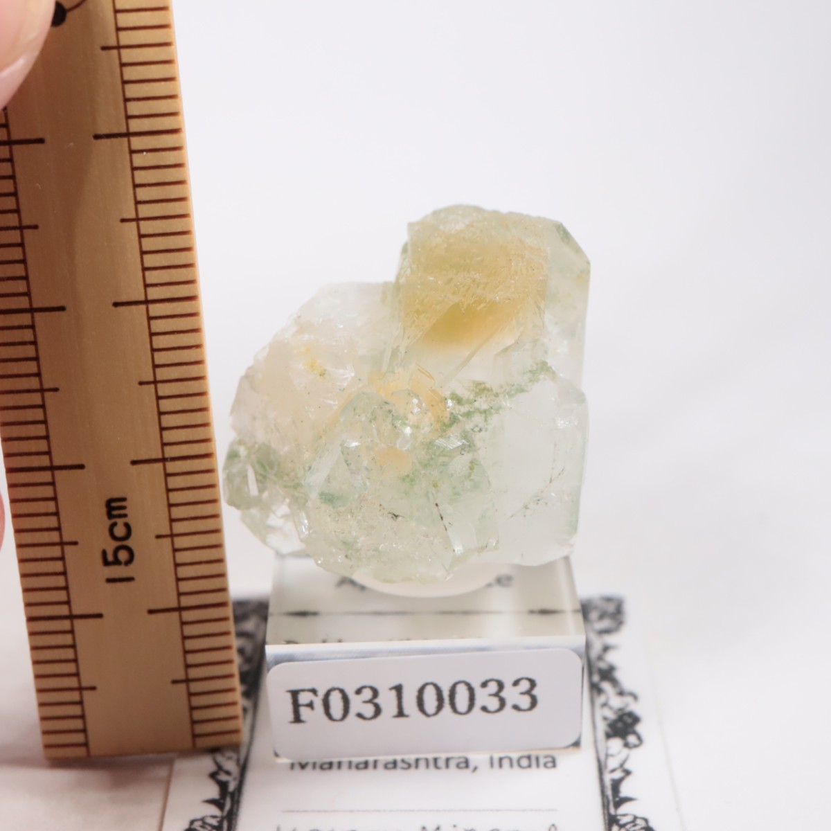 ����ɻ� ���ݥե��饤��