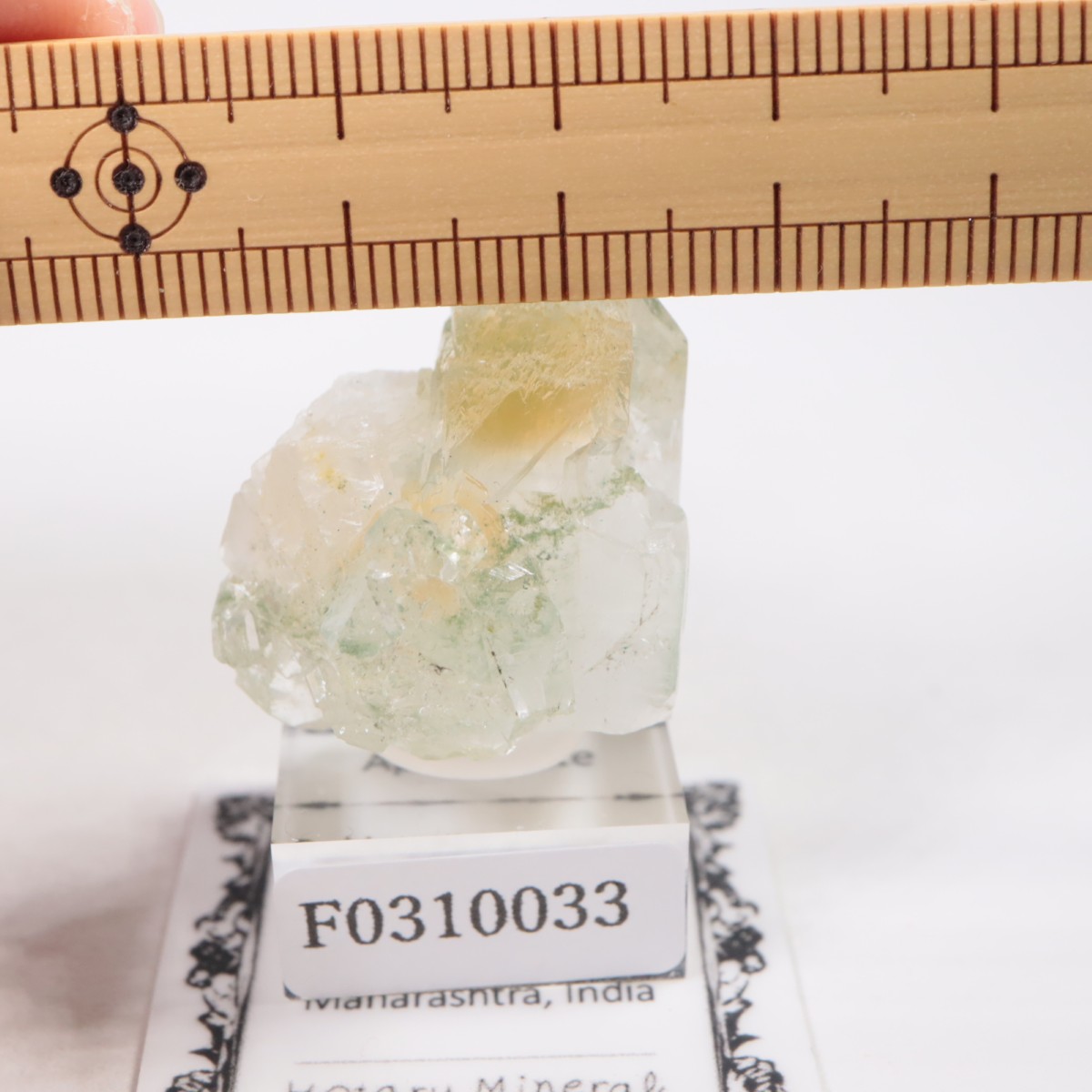 ����ɻ� ���ݥե��饤��