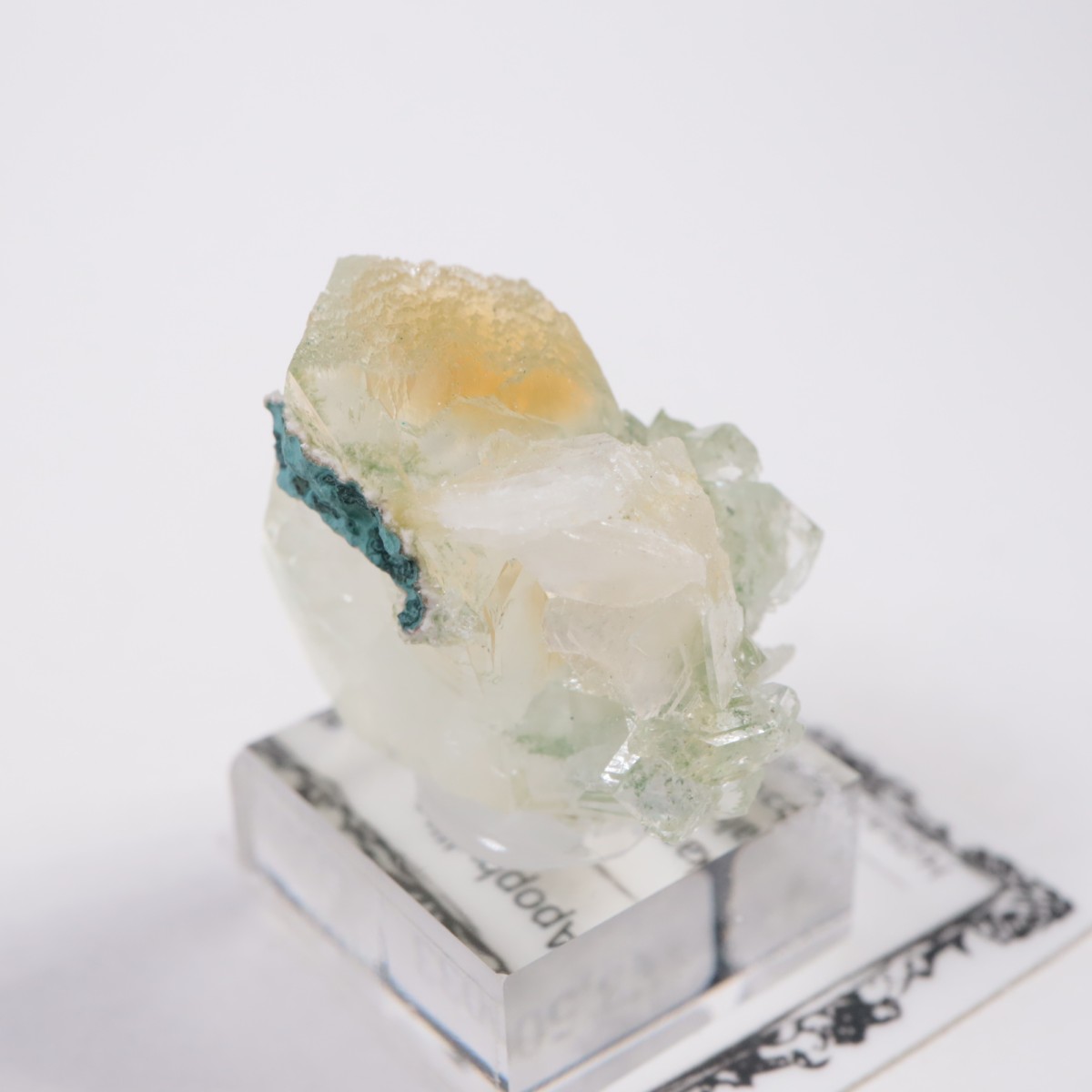 ����ɻ� ���ݥե��饤��