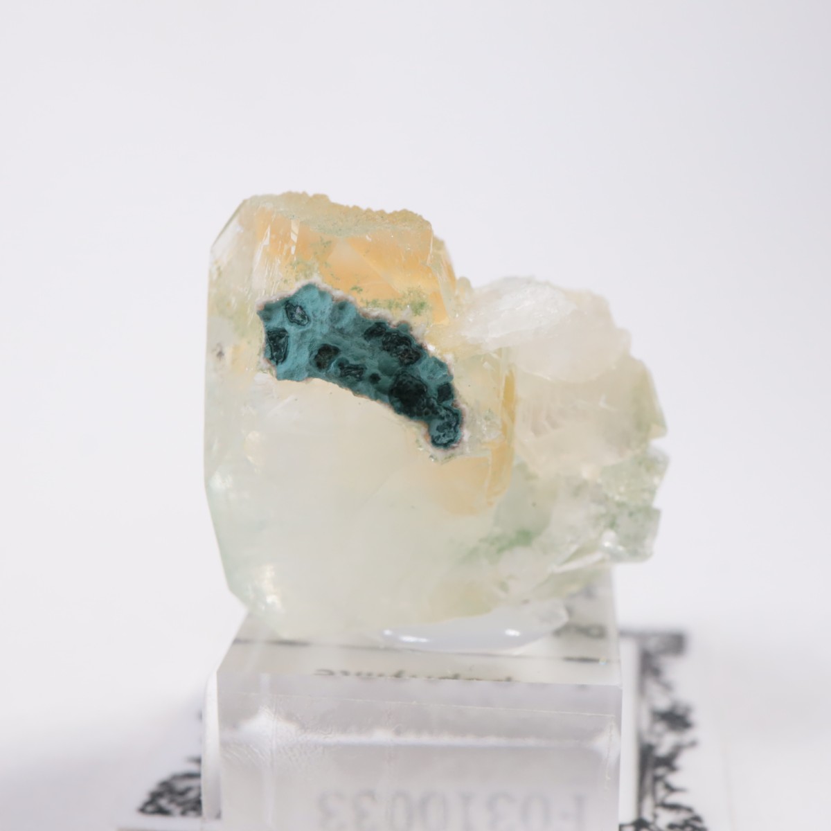 ����ɻ� ���ݥե��饤��