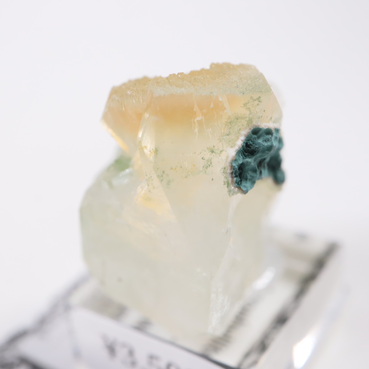 ����ɻ� ���ݥե��饤��