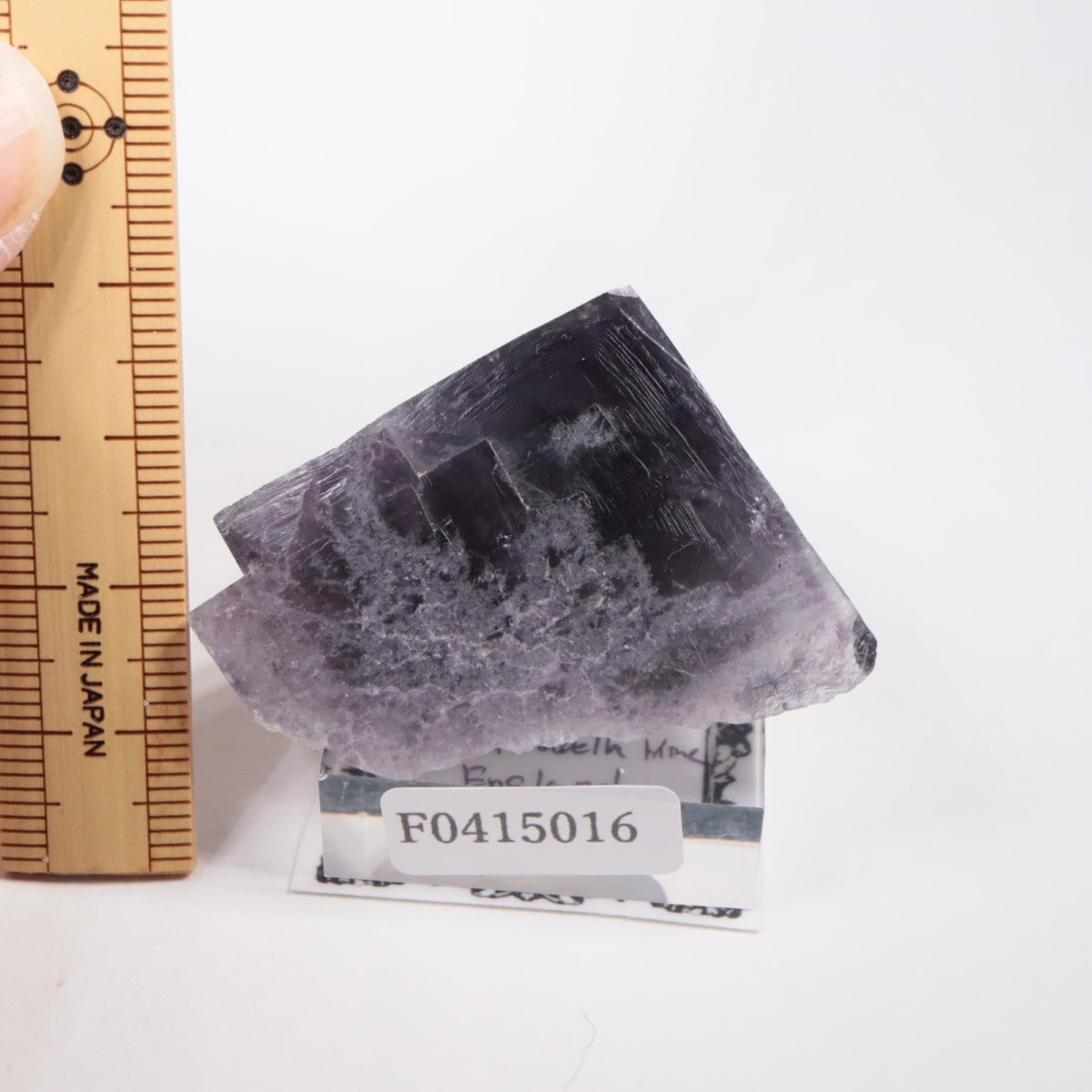 Purple Rain Pocket�� �ե����饤��