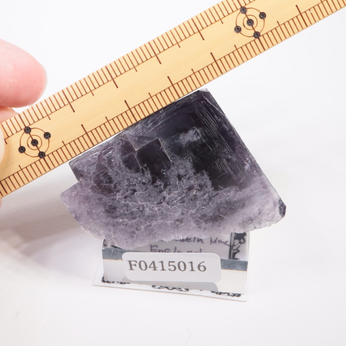 Purple Rain Pocket�� �ե����饤��