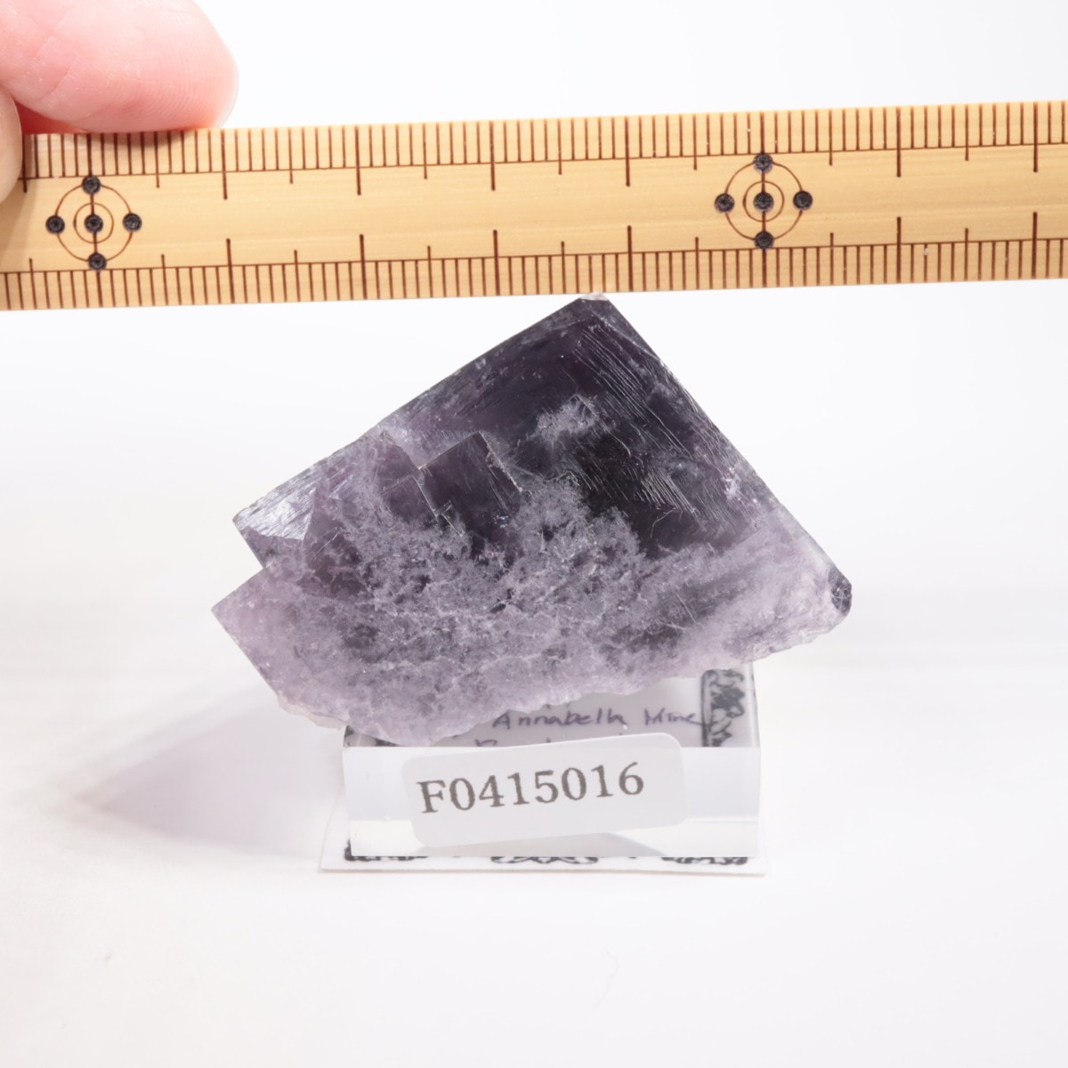 Purple Rain Pocket�� �ե����饤��