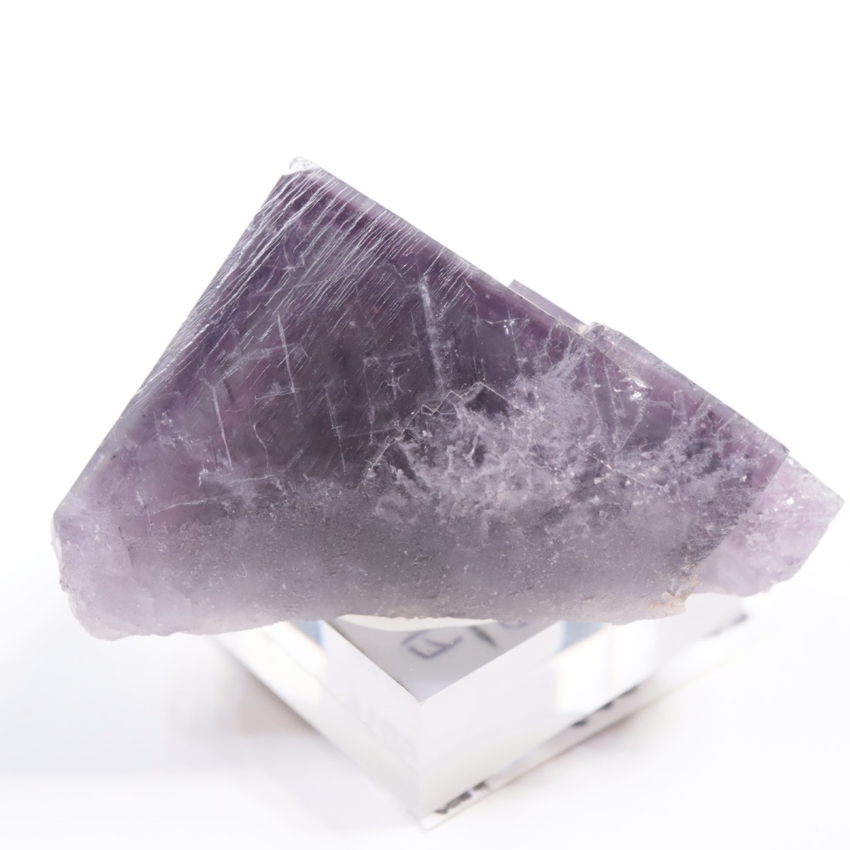 Purple Rain Pocket�� �ե����饤��