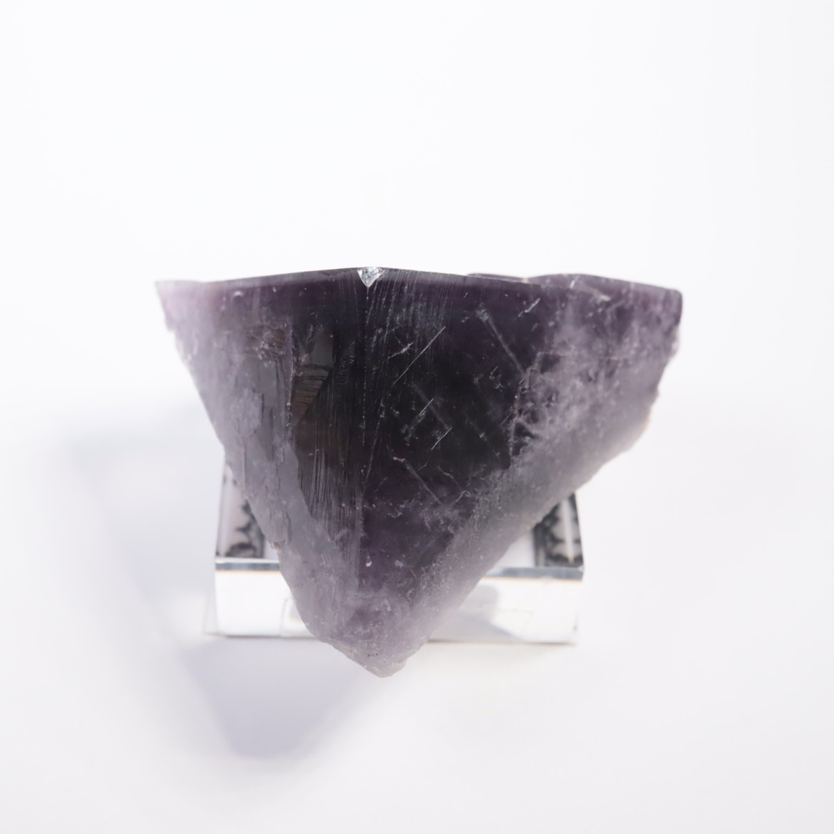 Purple Rain Pocket�� �ե����饤��