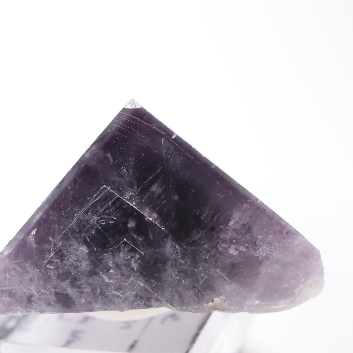 Purple Rain Pocket�� �ե����饤��