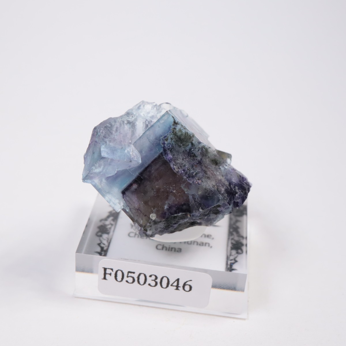 �䥪���󥷥��ۻ��� �ե����饤��