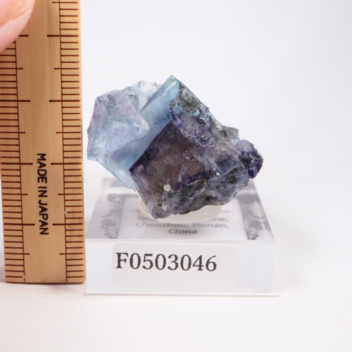 �䥪���󥷥��ۻ��� �ե����饤��