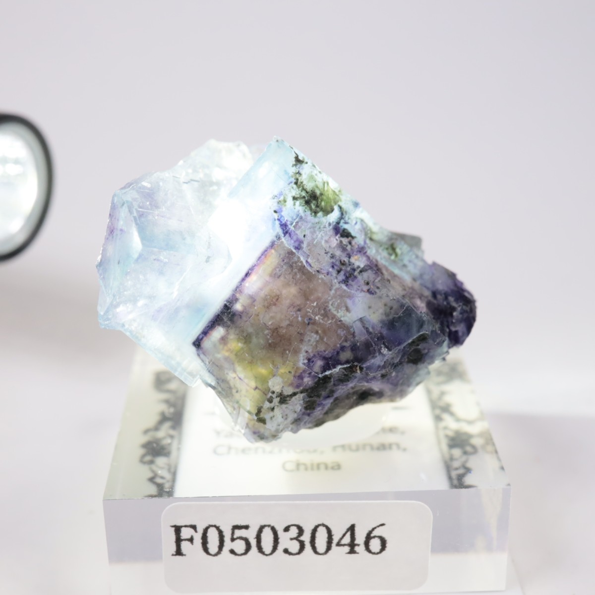 �䥪���󥷥��ۻ��� �ե����饤��