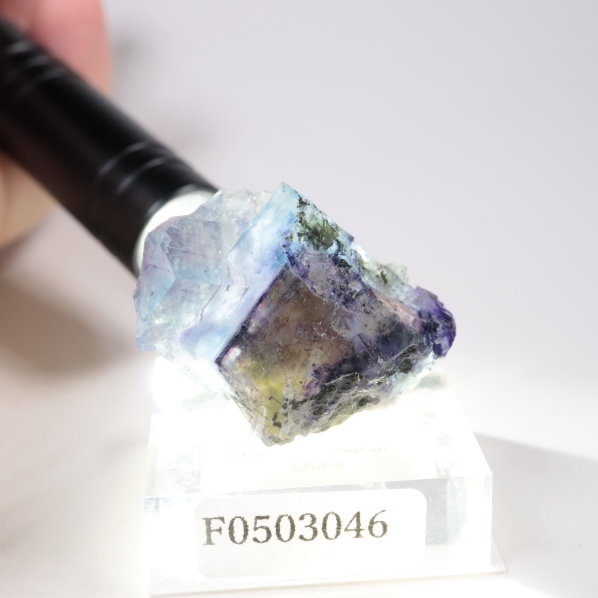 �䥪���󥷥��ۻ��� �ե����饤��