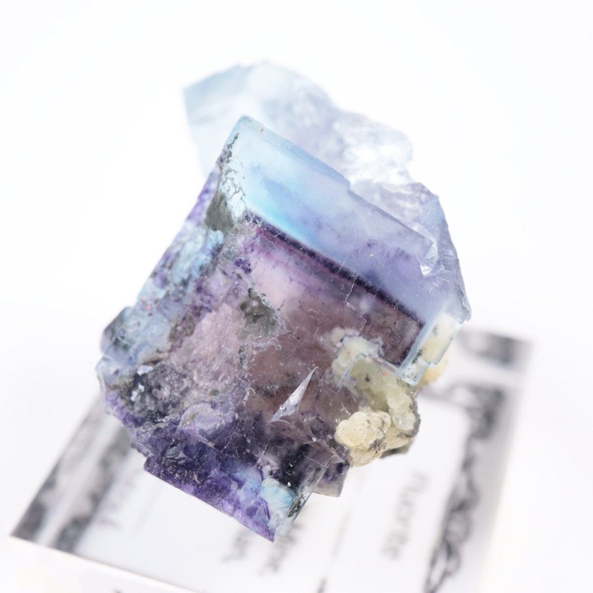 �䥪���󥷥��ۻ��� �ե����饤��