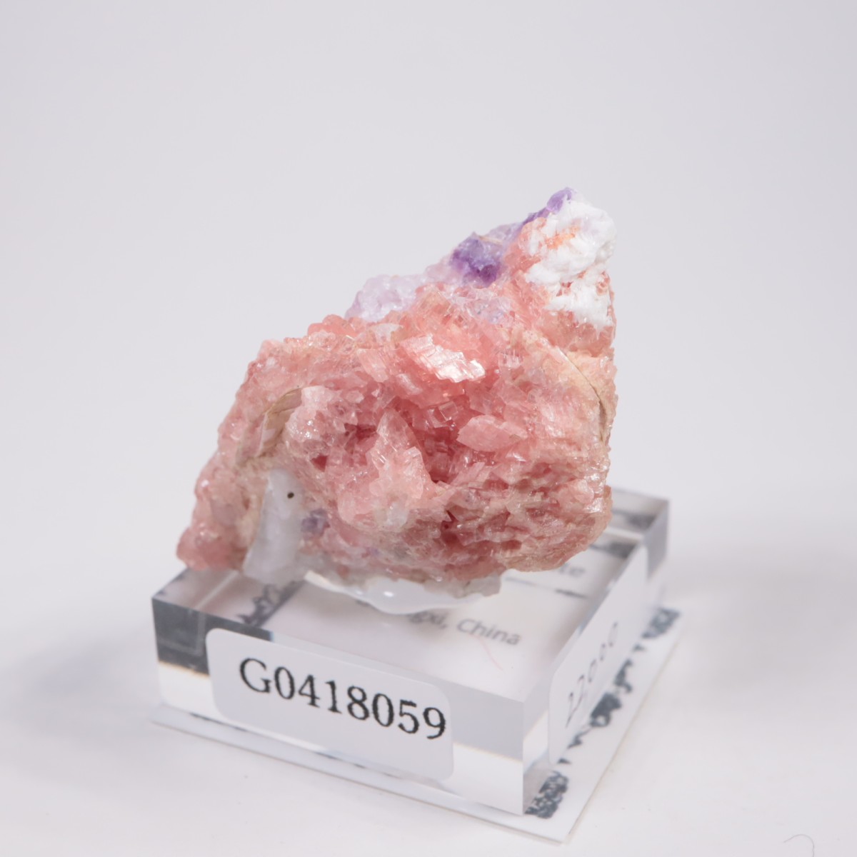 ��� �����ɥ���������