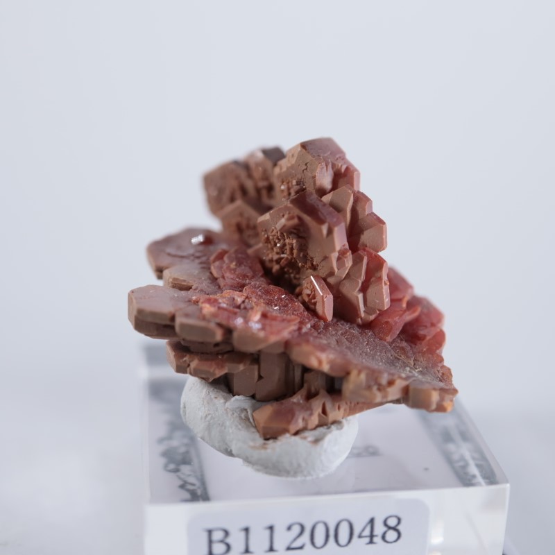 ����å������Хʥǥ��ʥ��ȡʥХʥ�����ۡ�