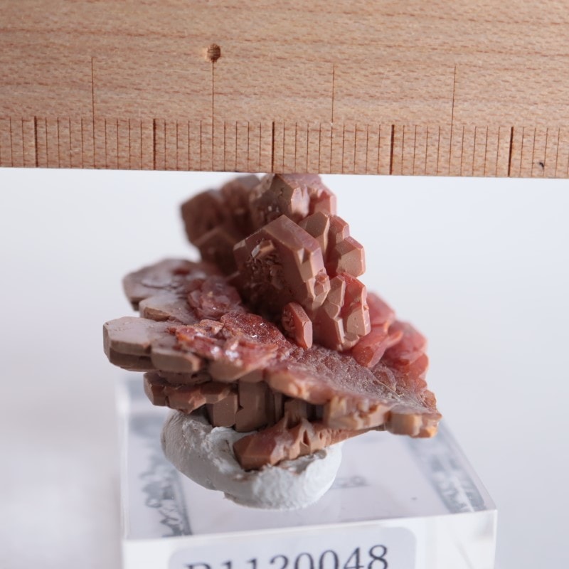 ����å������Хʥǥ��ʥ��ȡʥХʥ�����ۡ�