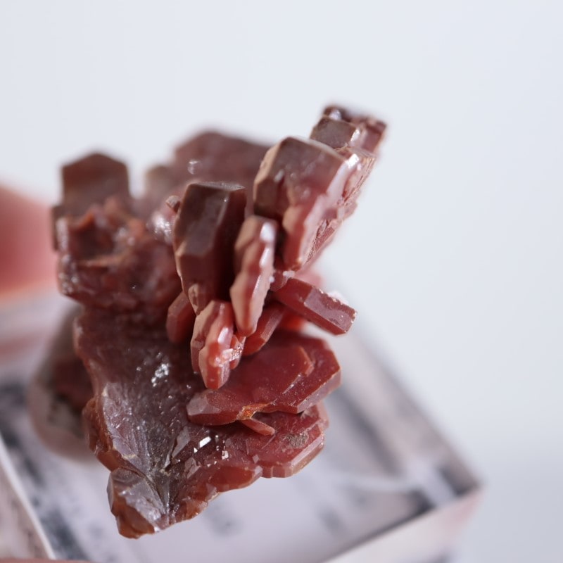 ����å������Хʥǥ��ʥ��ȡʥХʥ�����ۡ�