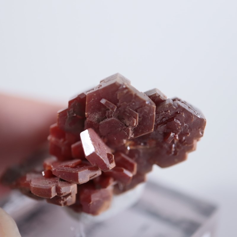 ����å������Хʥǥ��ʥ��ȡʥХʥ�����ۡ�