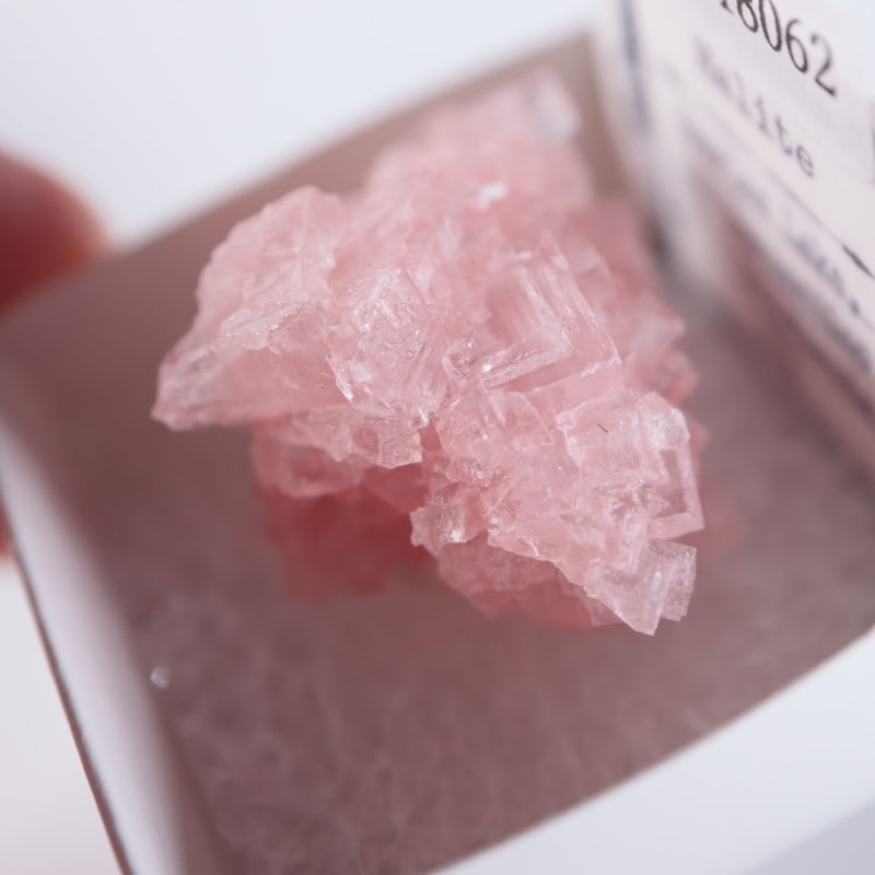 カリフォルニア州 ピンクハライト | 鉱物標本,ハ行,ハライト/岩塩