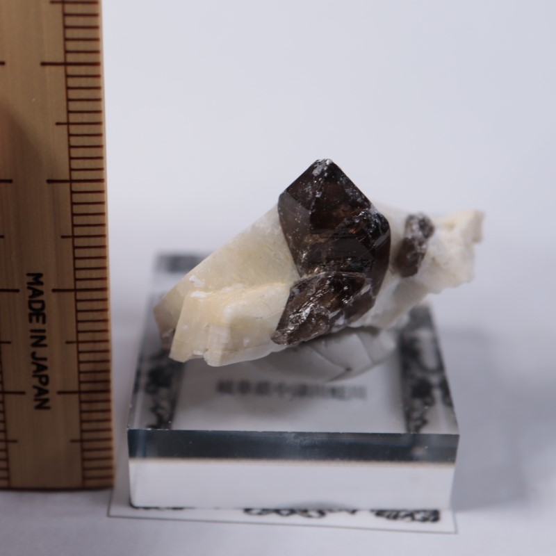 岐阜県産 煙水晶 | 鉱物標本,サ行,スモーキークォーツ/煙水晶 | ほたる