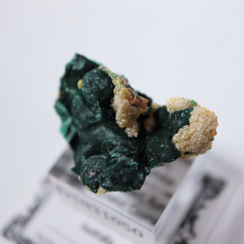 �������ȥ�ꥢ�����ޥ饫���ȡ��ѥ������ե�����