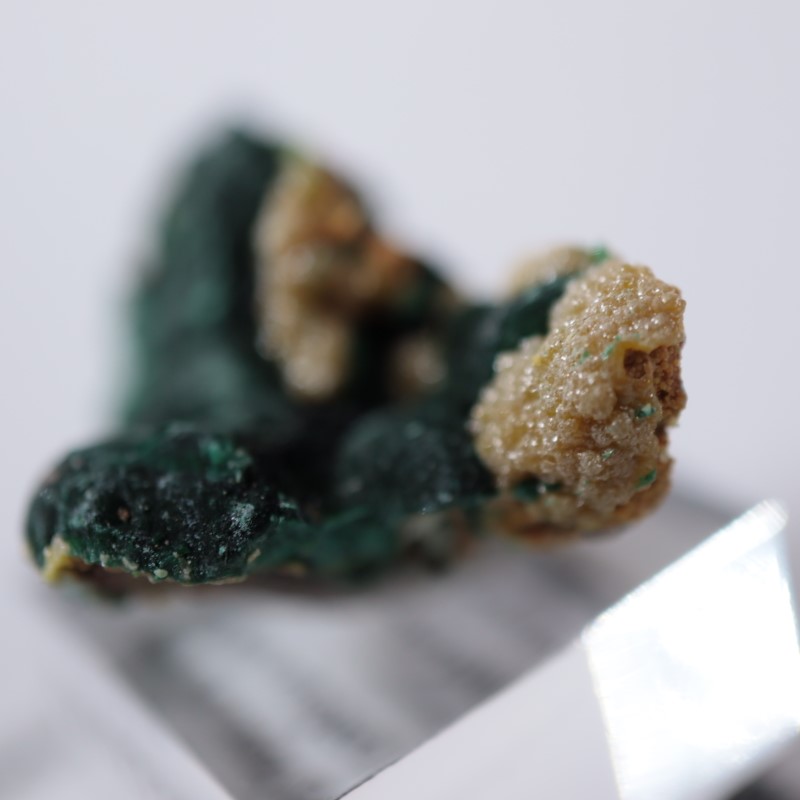 �������ȥ�ꥢ�����ޥ饫���ȡ��ѥ������ե�����