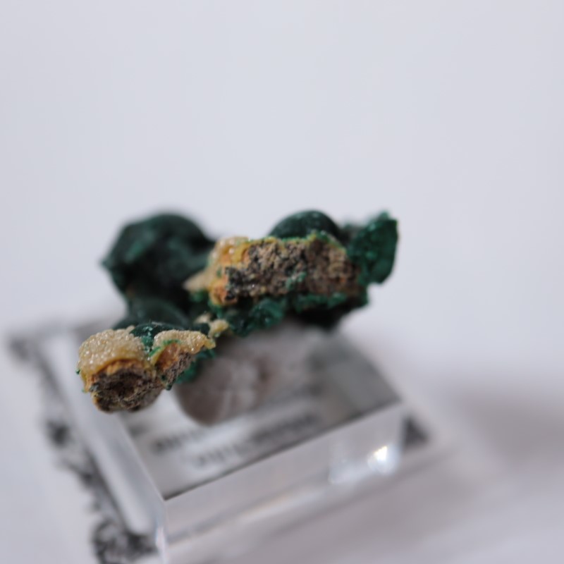 �������ȥ�ꥢ�����ޥ饫���ȡ��ѥ������ե�����