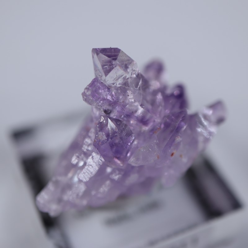 Karur�������᥷����