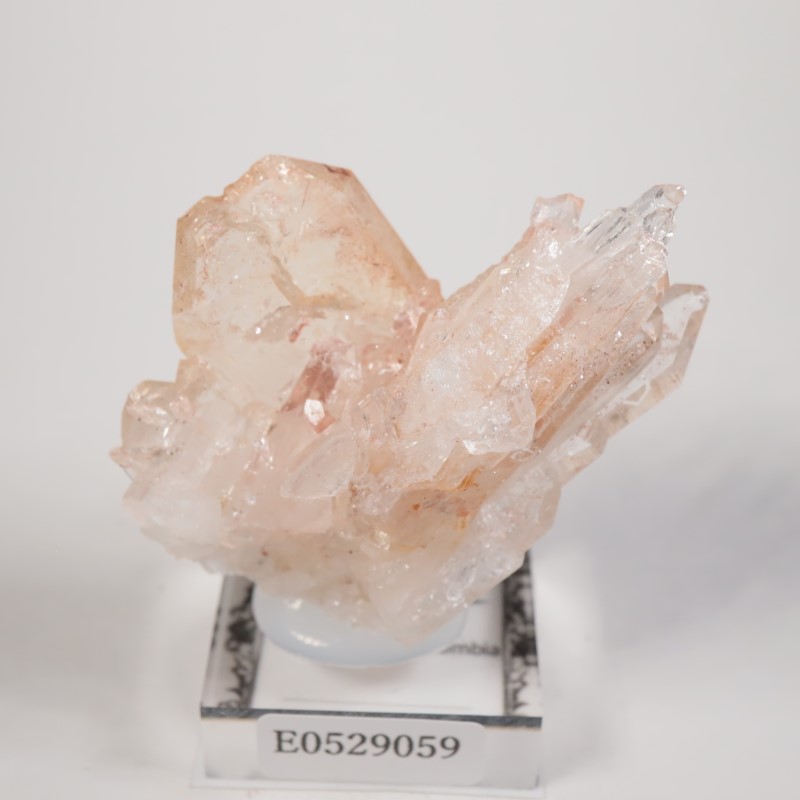 コロンビア産 ピンクリチウム水晶 | 鉱物標本,カ行,クォーツ/水晶 