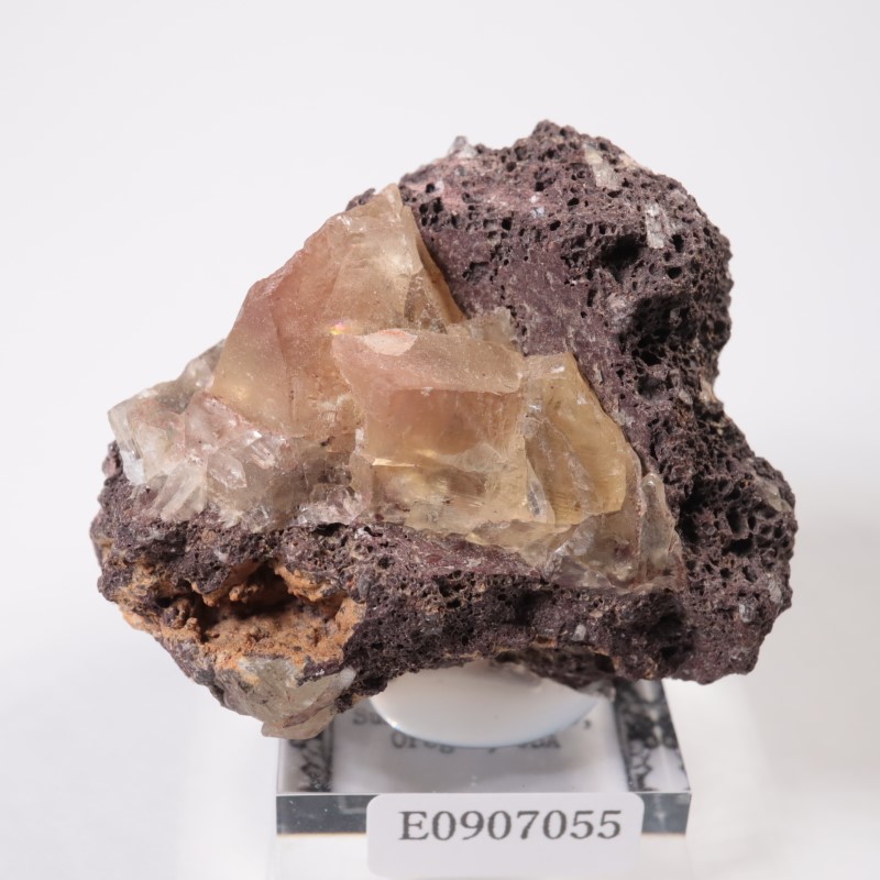 ���쥴�� ���쥴�󥵥󥹥ȡ���