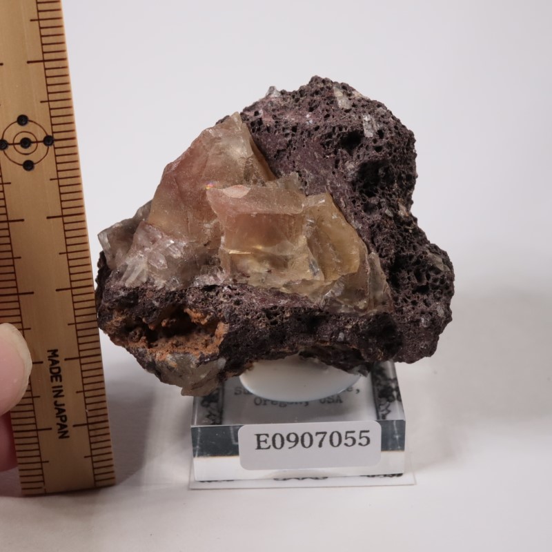 ���쥴�� ���쥴�󥵥󥹥ȡ���