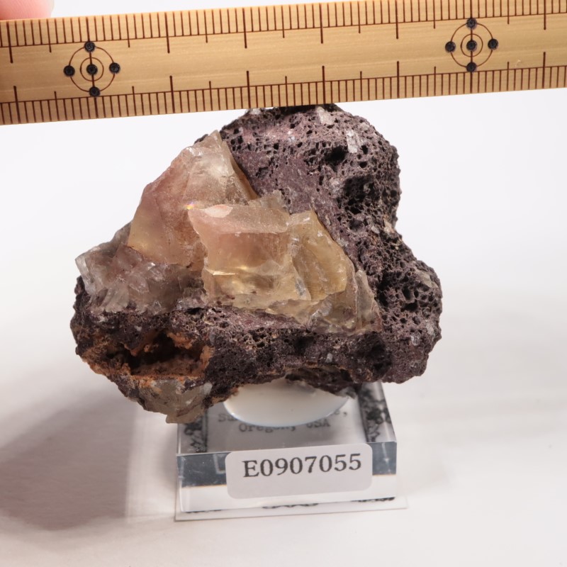 ���쥴�� ���쥴�󥵥󥹥ȡ���