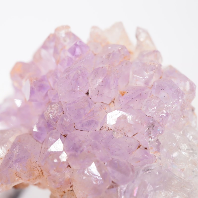 ����ɻ� ���᥷����