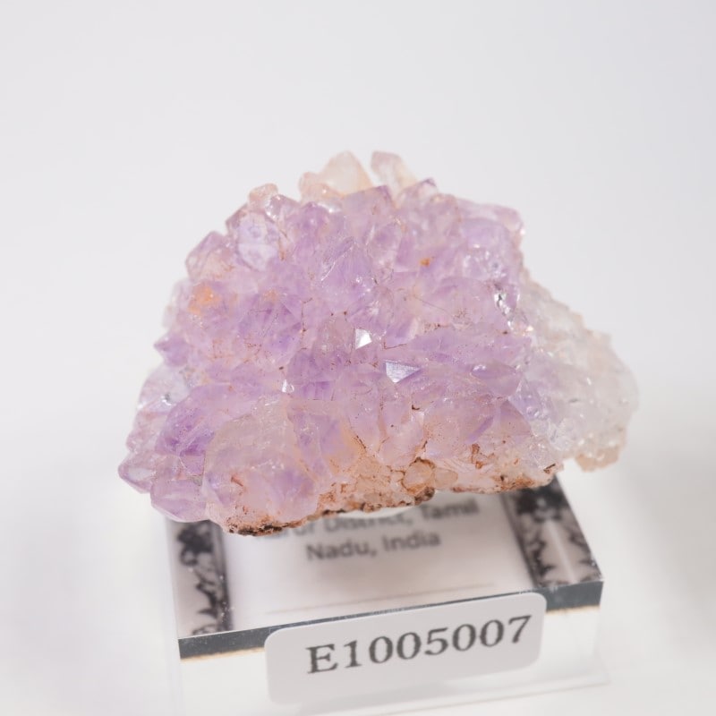 ����ɻ� ���᥷����