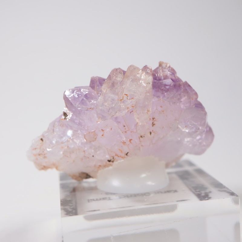 ����ɻ� ���᥷����