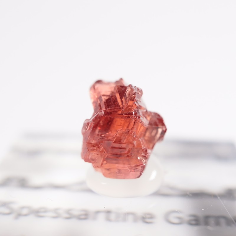 �֥饸�뻺 ���ڥ���ƥ��󥬡��ͥå�