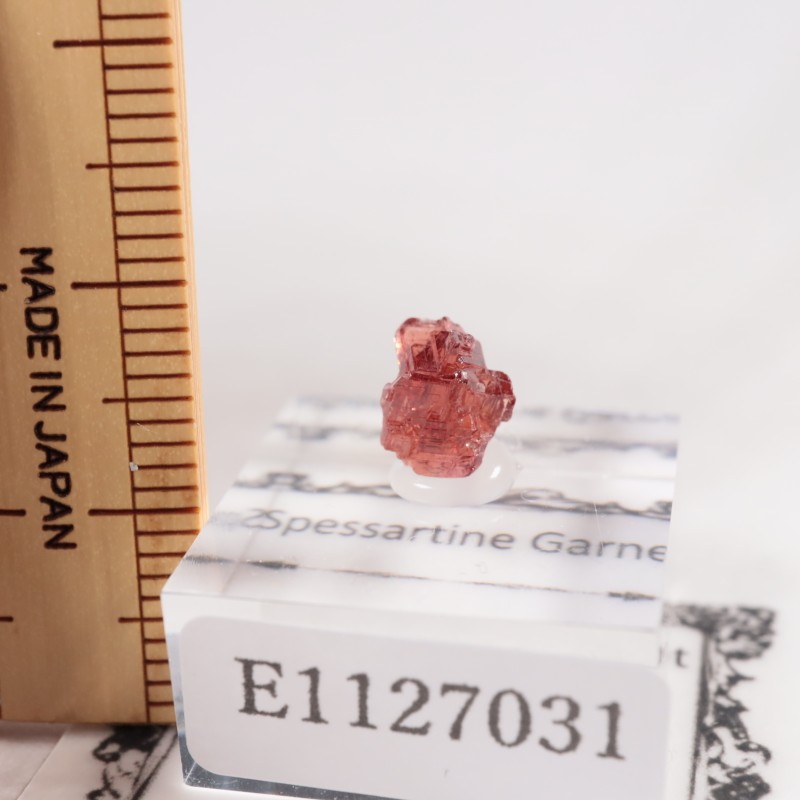 �֥饸�뻺 ���ڥ���ƥ��󥬡��ͥå�