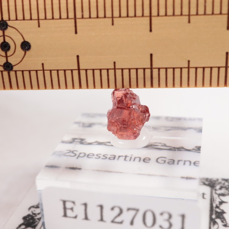 �֥饸�뻺 ���ڥ���ƥ��󥬡��ͥå�