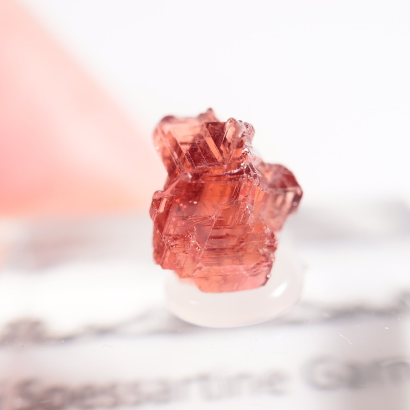 �֥饸�뻺 ���ڥ���ƥ��󥬡��ͥå�